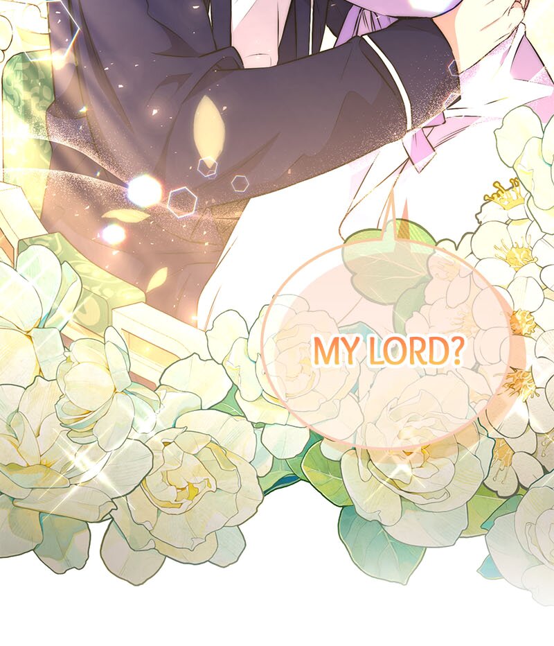 Amelia’s Contract Marriage Chapter 49 page 42