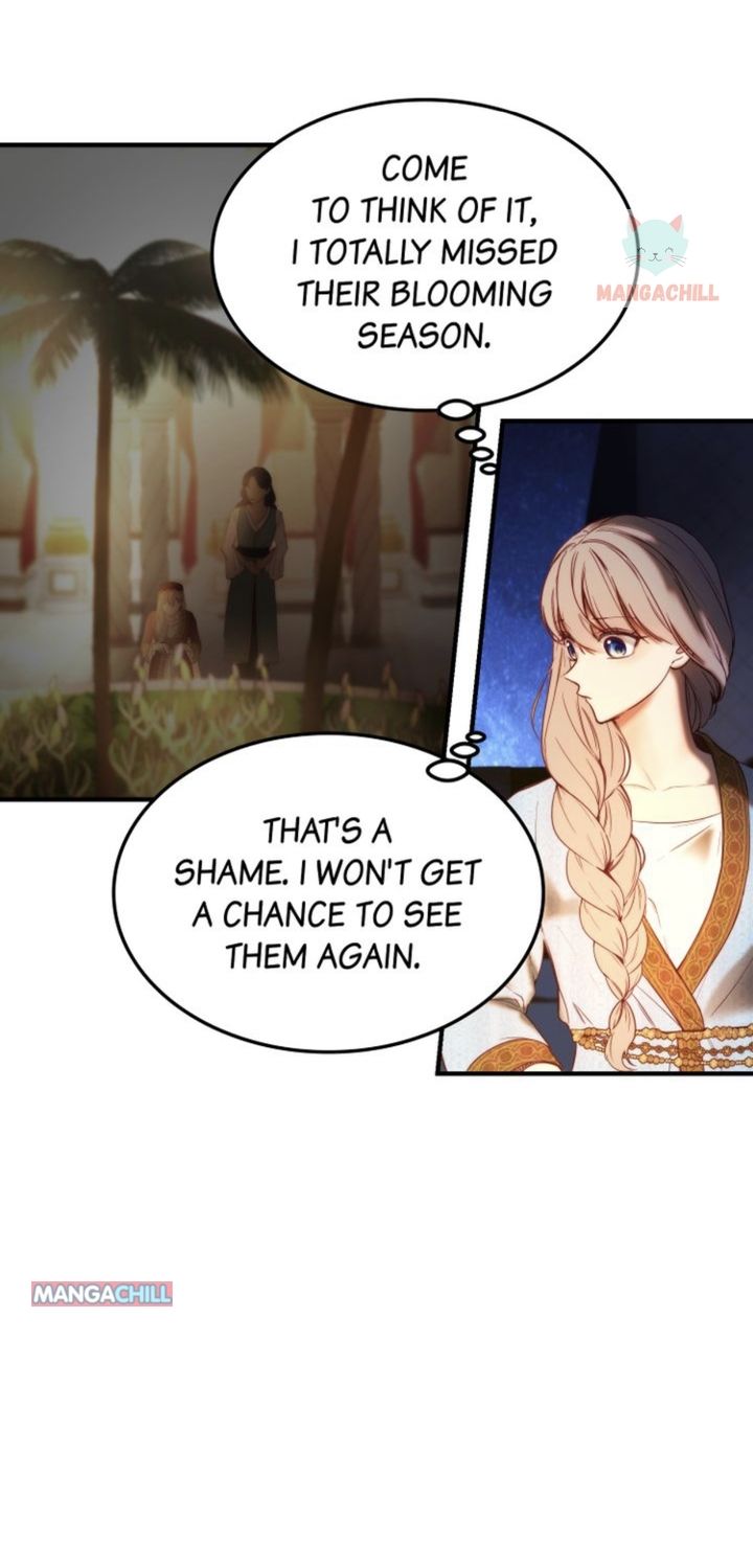 Amina Of The Lamp Chapter 120 page 24
