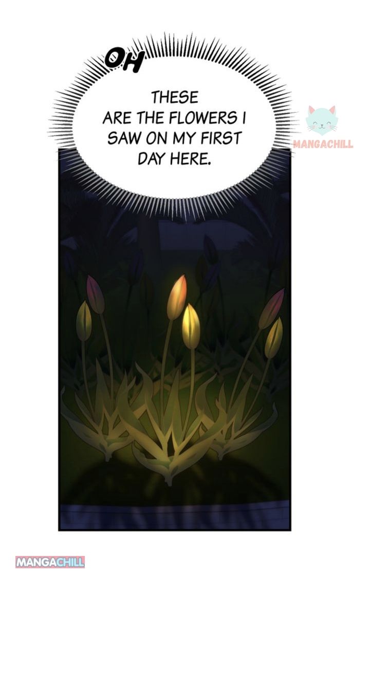 Amina Of The Lamp Chapter 120 page 23
