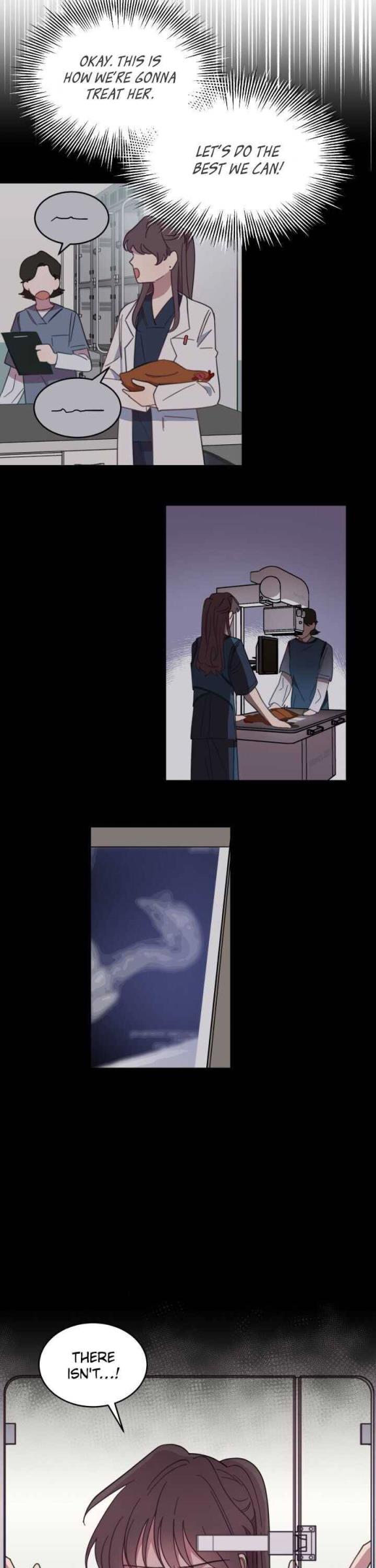 An animal hospital in the border area Chapter 3 page 17