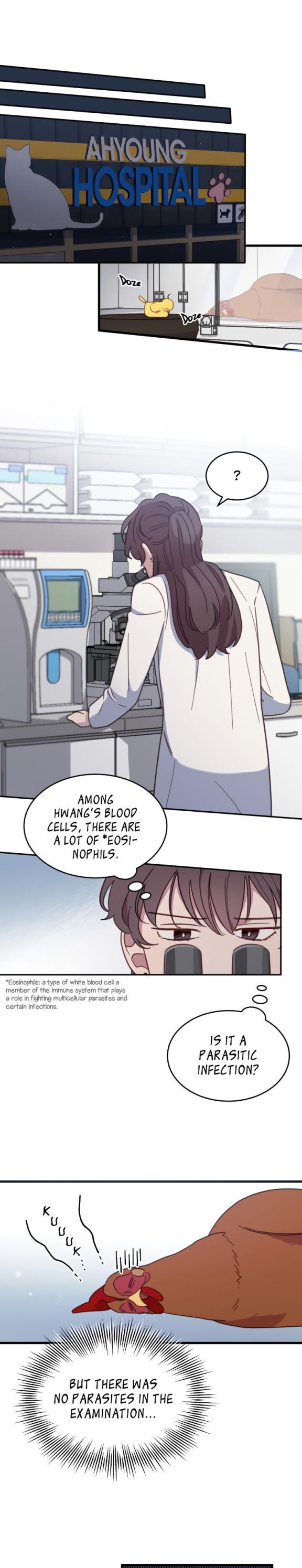 An animal hospital in the border area Chapter 4 page 8