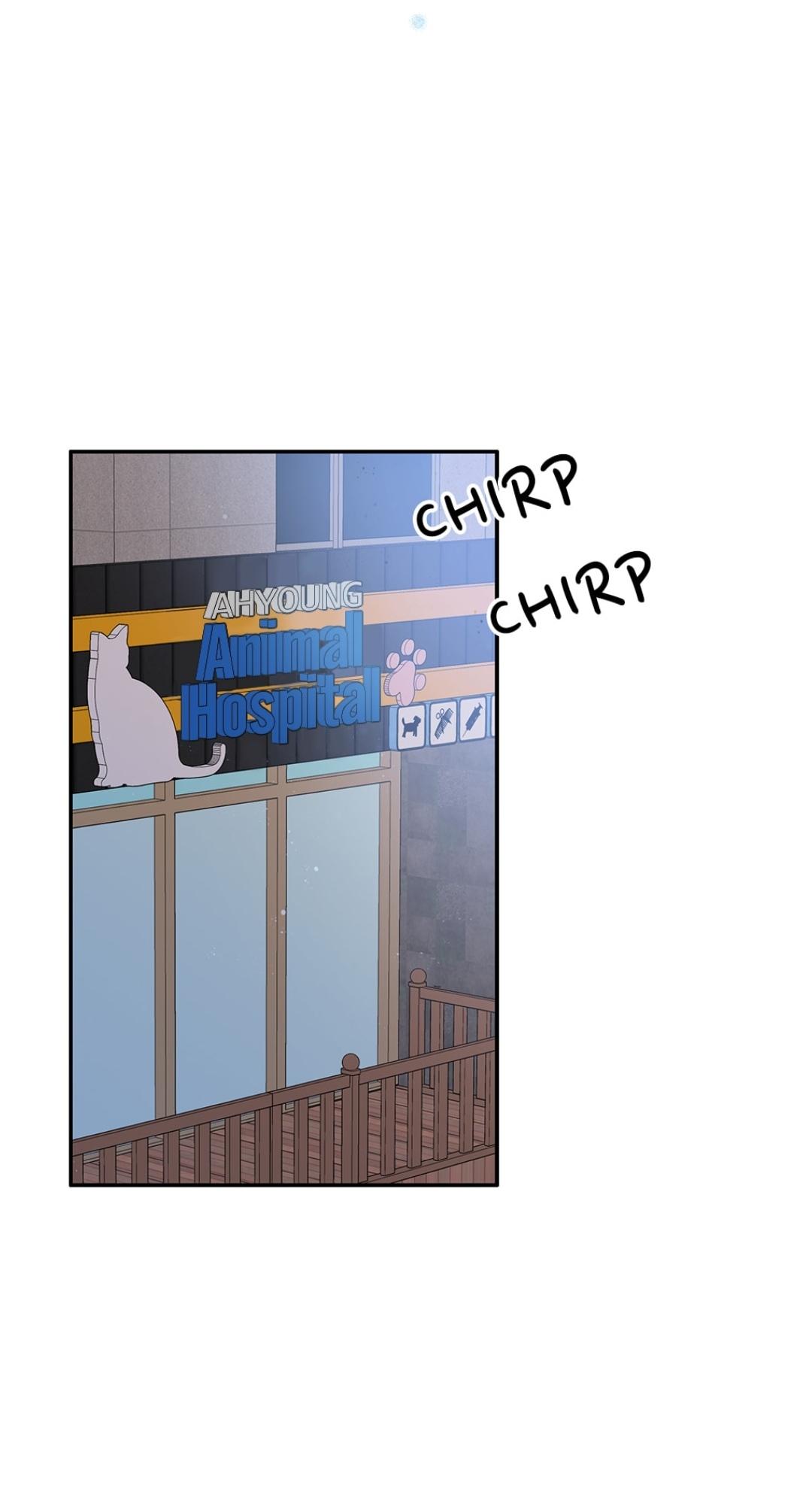 An animal hospital in the border area Chapter 6 page 46