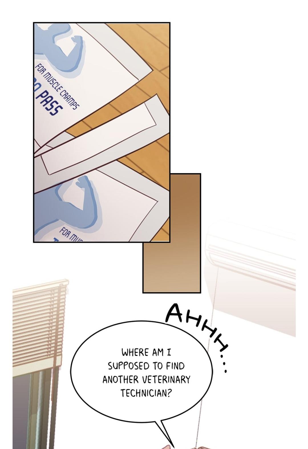 An animal hospital in the border area Chapter 8 page 34