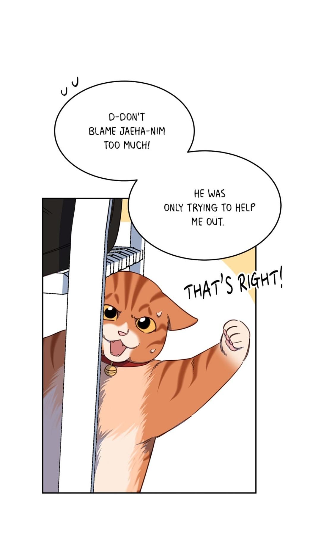 An animal hospital in the border area Chapter 10 page 13