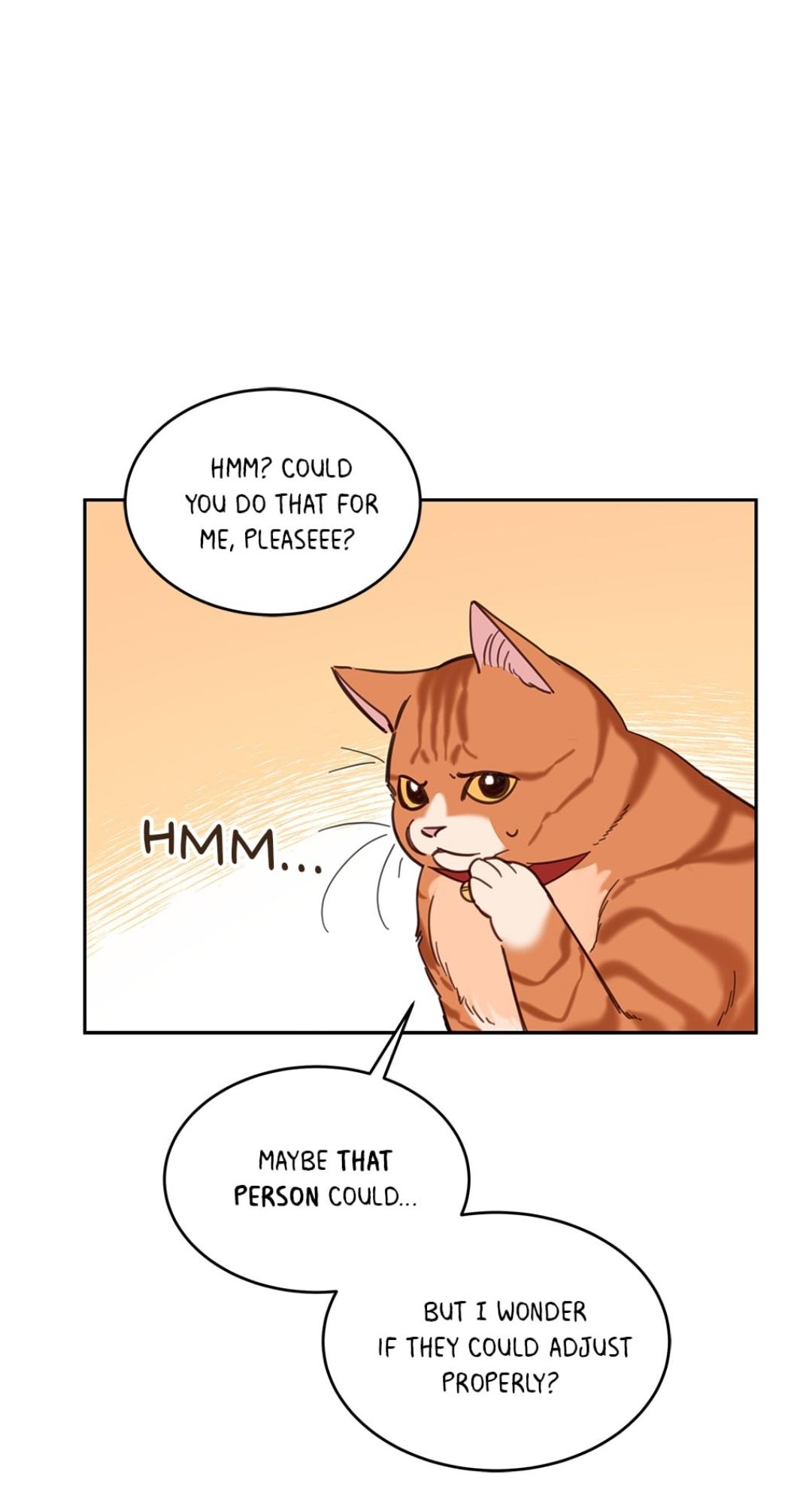 An animal hospital in the border area Chapter 8 page 42