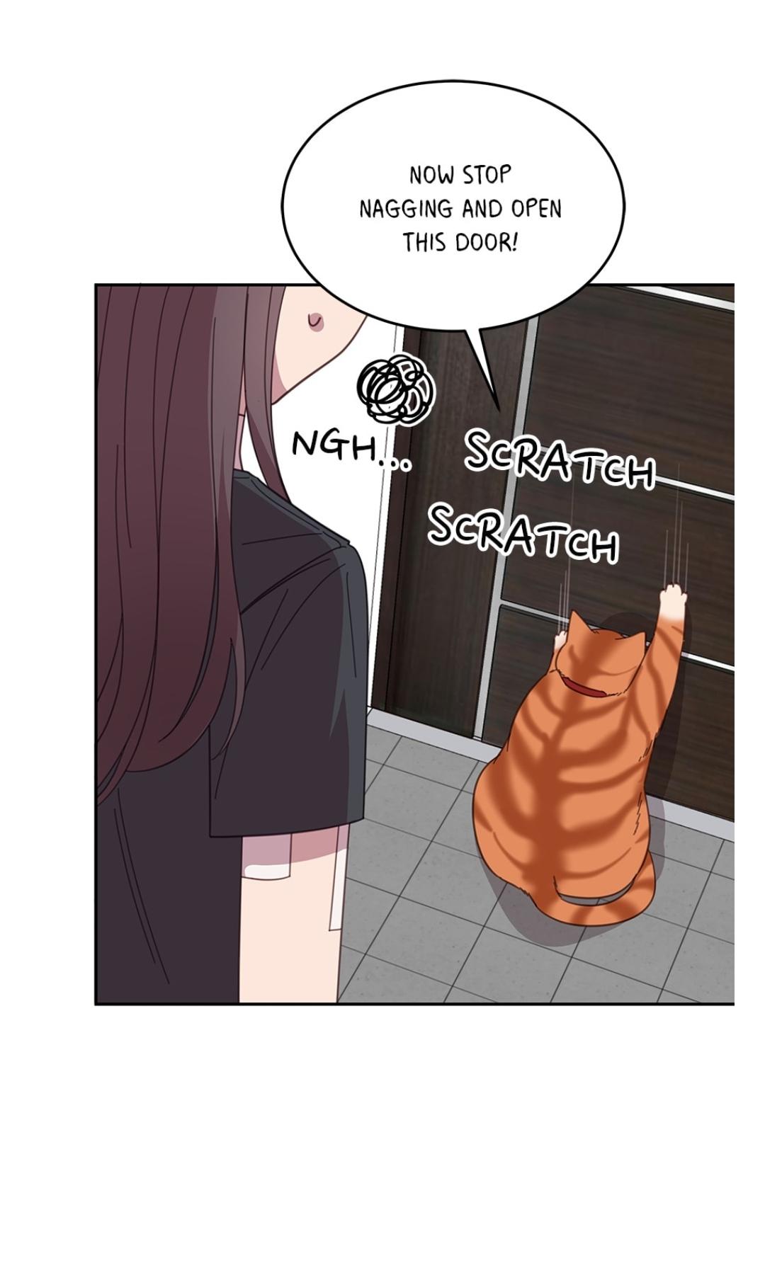 An animal hospital in the border area Chapter 8 page 47