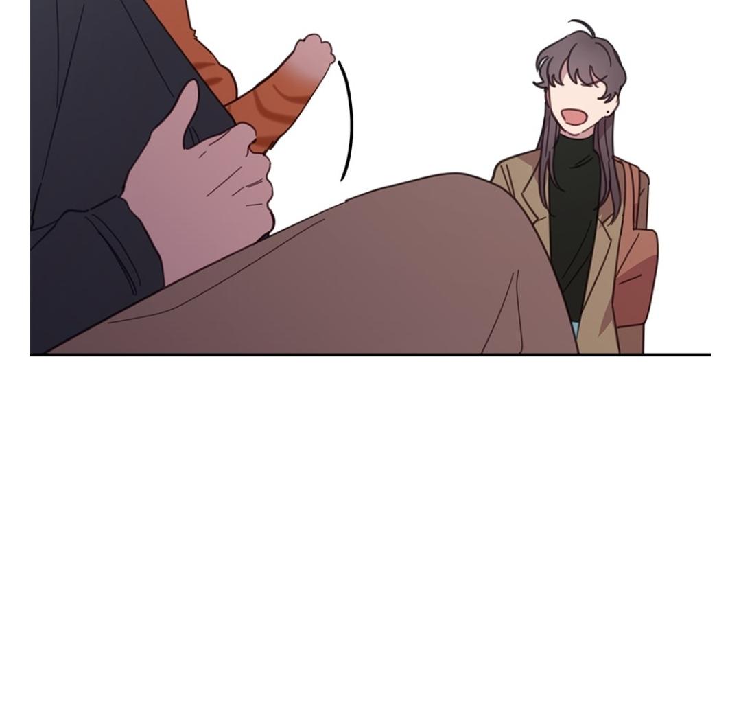 An animal hospital in the border area Chapter 8 page 54