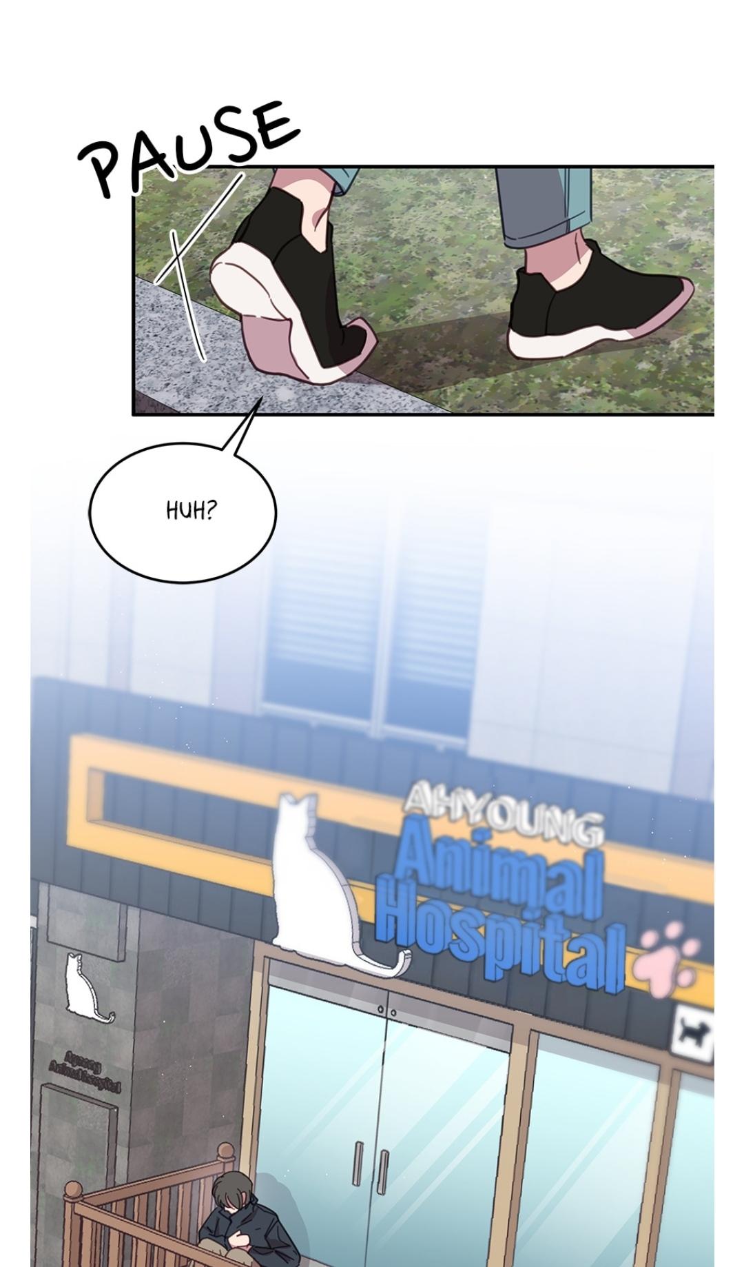 An animal hospital in the border area Chapter 8 page 52