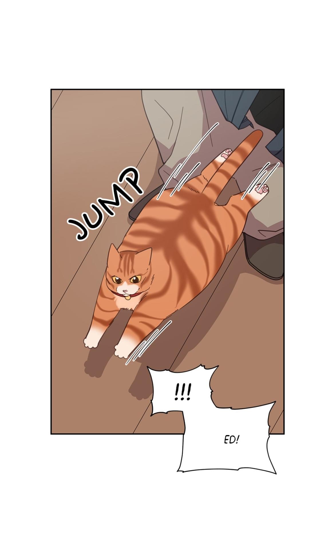 An animal hospital in the border area Chapter 8 page 55