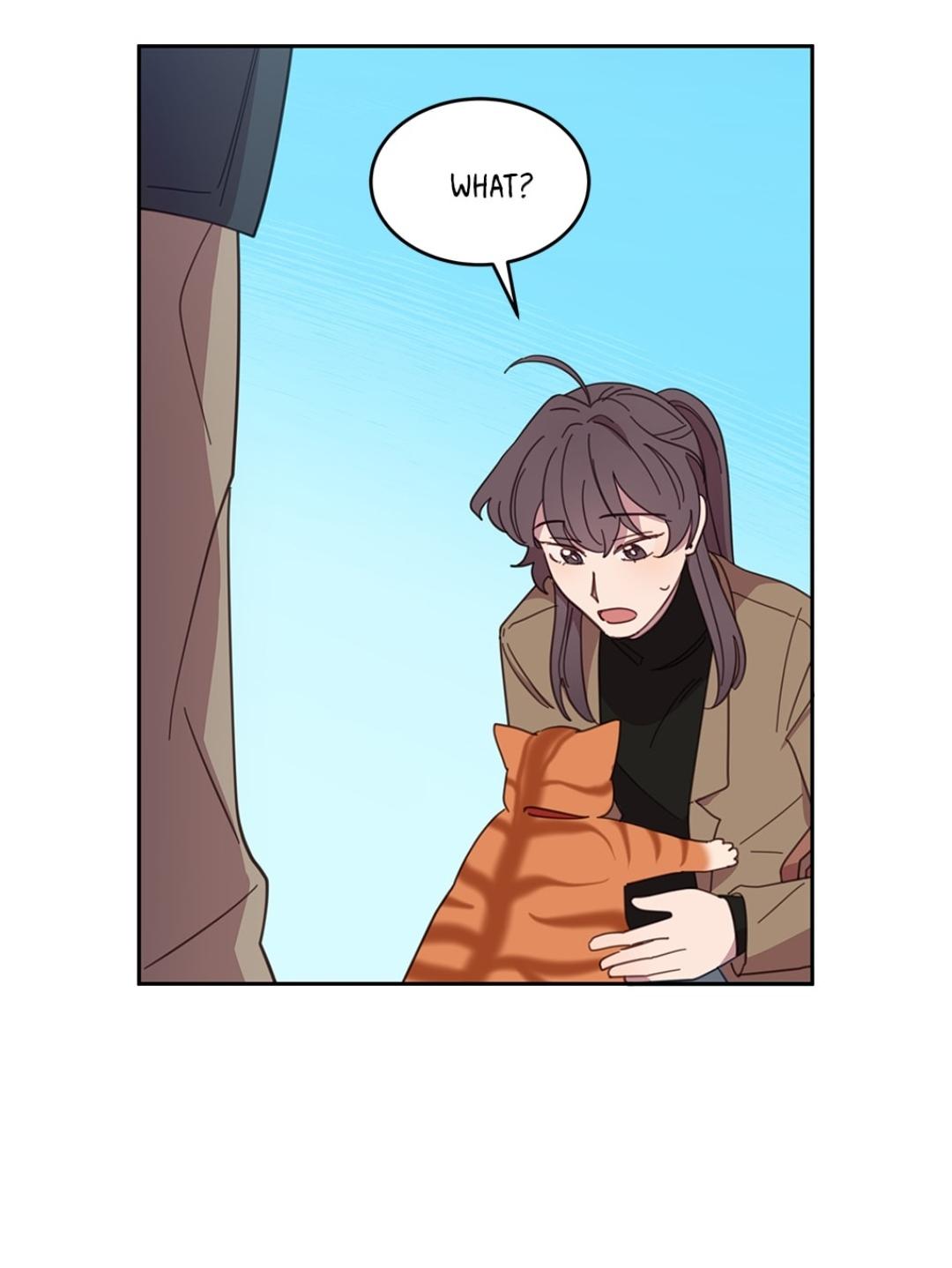 An animal hospital in the border area Chapter 8 page 58