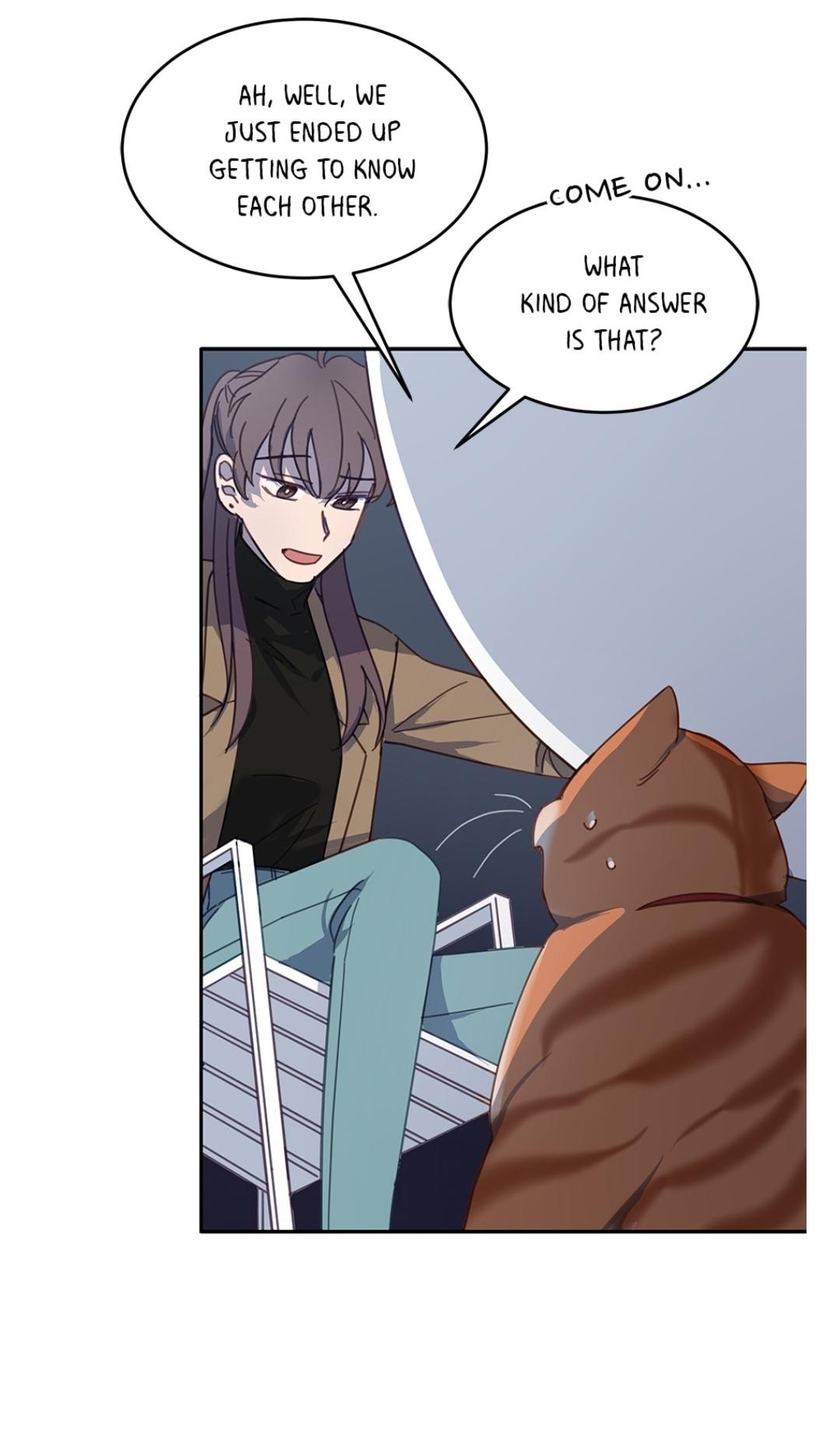 An animal hospital in the border area Chapter 9 page 43