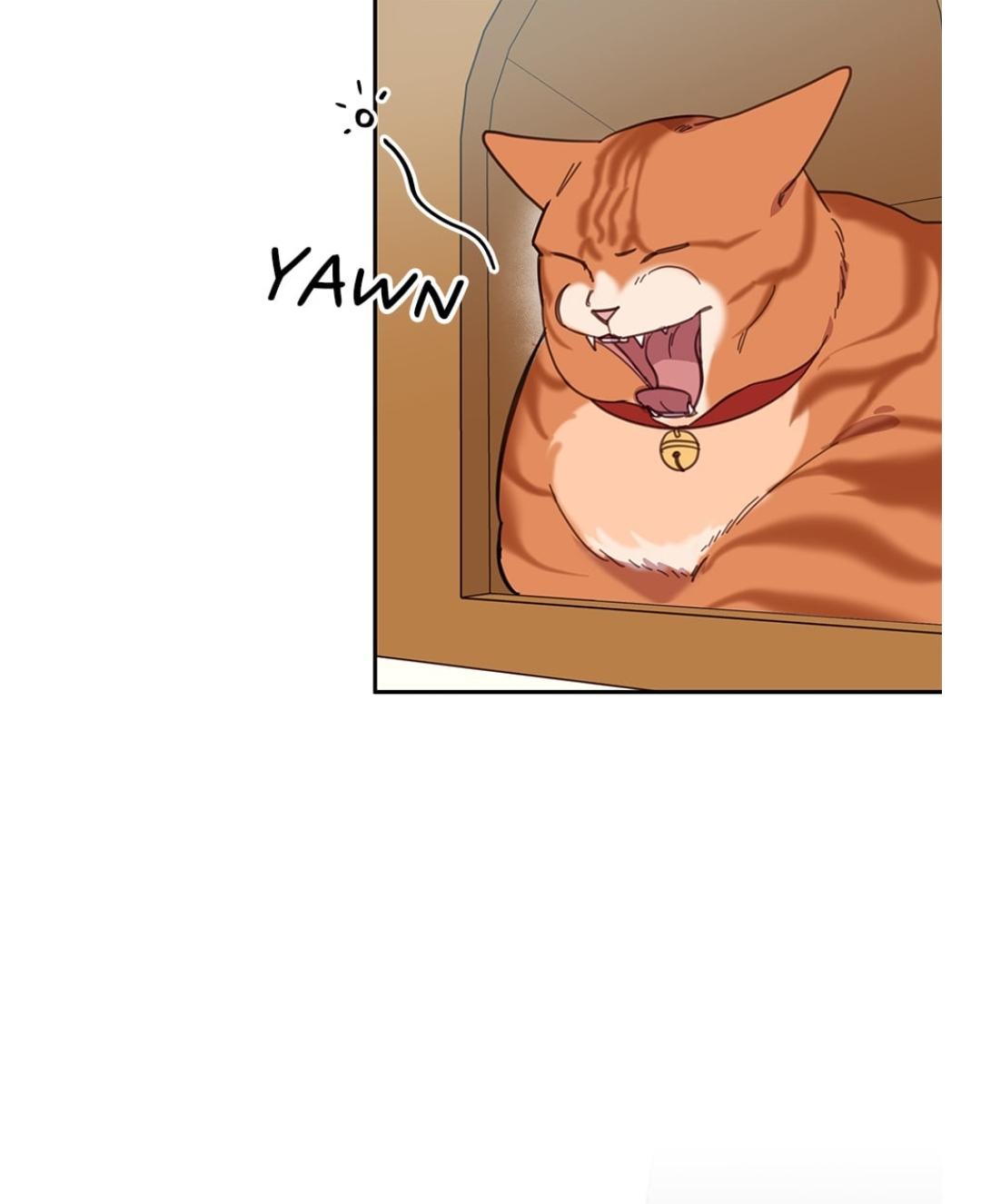 An animal hospital in the border area Chapter 7 page 14