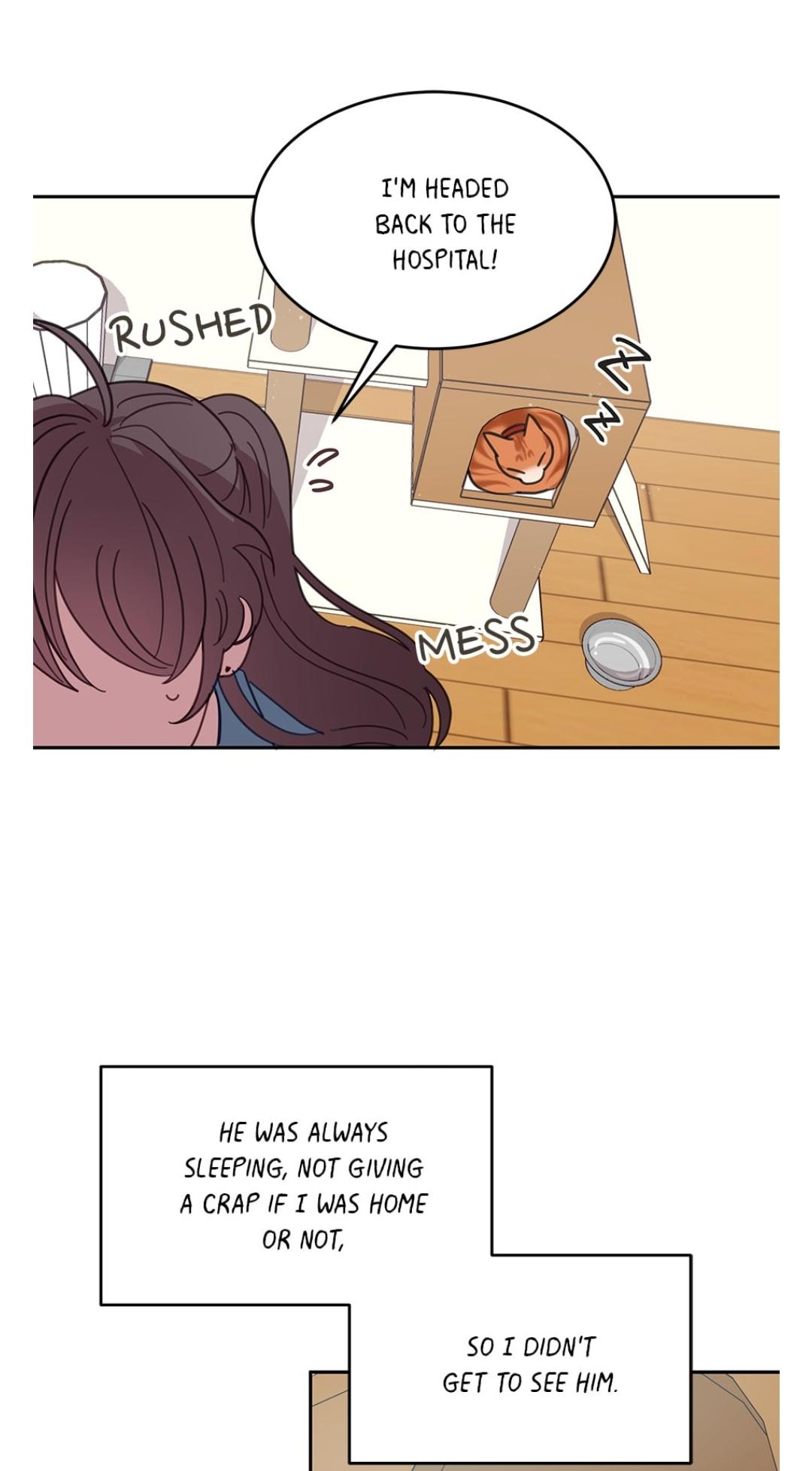 An animal hospital in the border area Chapter 7 page 13