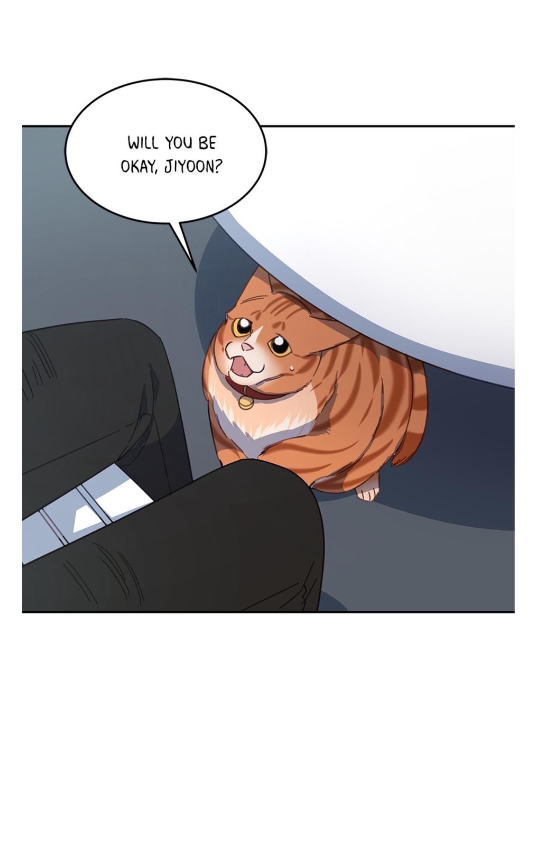 An animal hospital in the border area Chapter 9 page 45