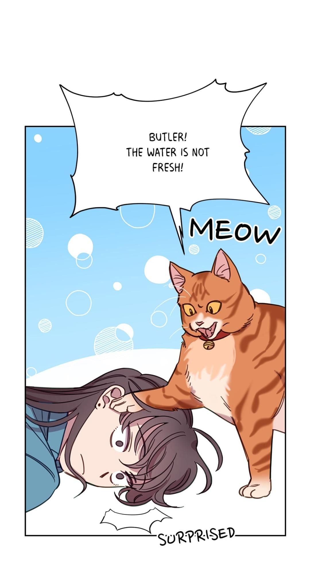 An animal hospital in the border area Chapter 7 page 6