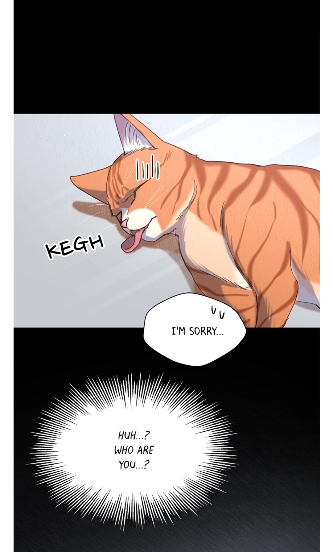 An animal hospital in the border area Chapter 7 page 63