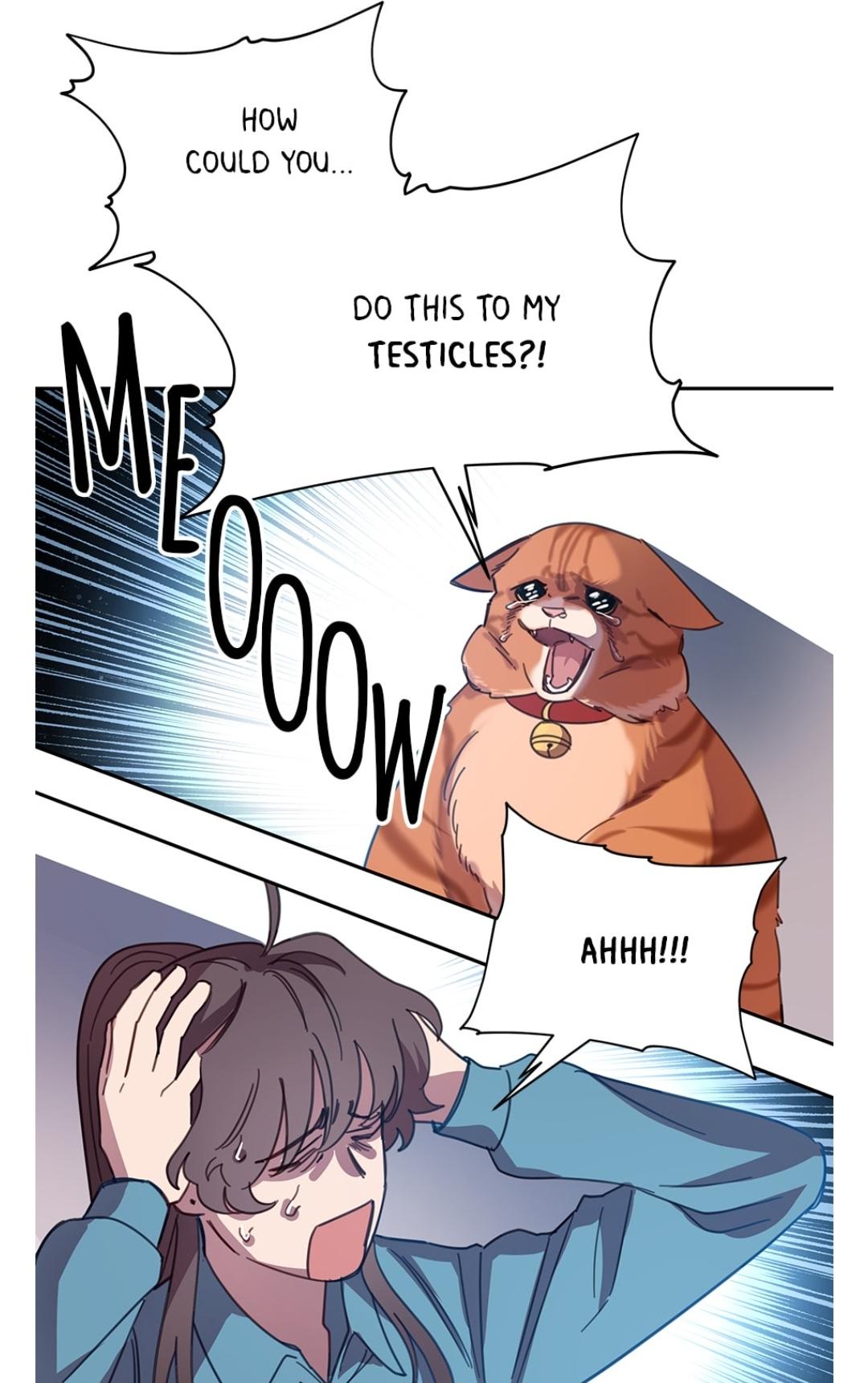 An animal hospital in the border area Chapter 7 page 55