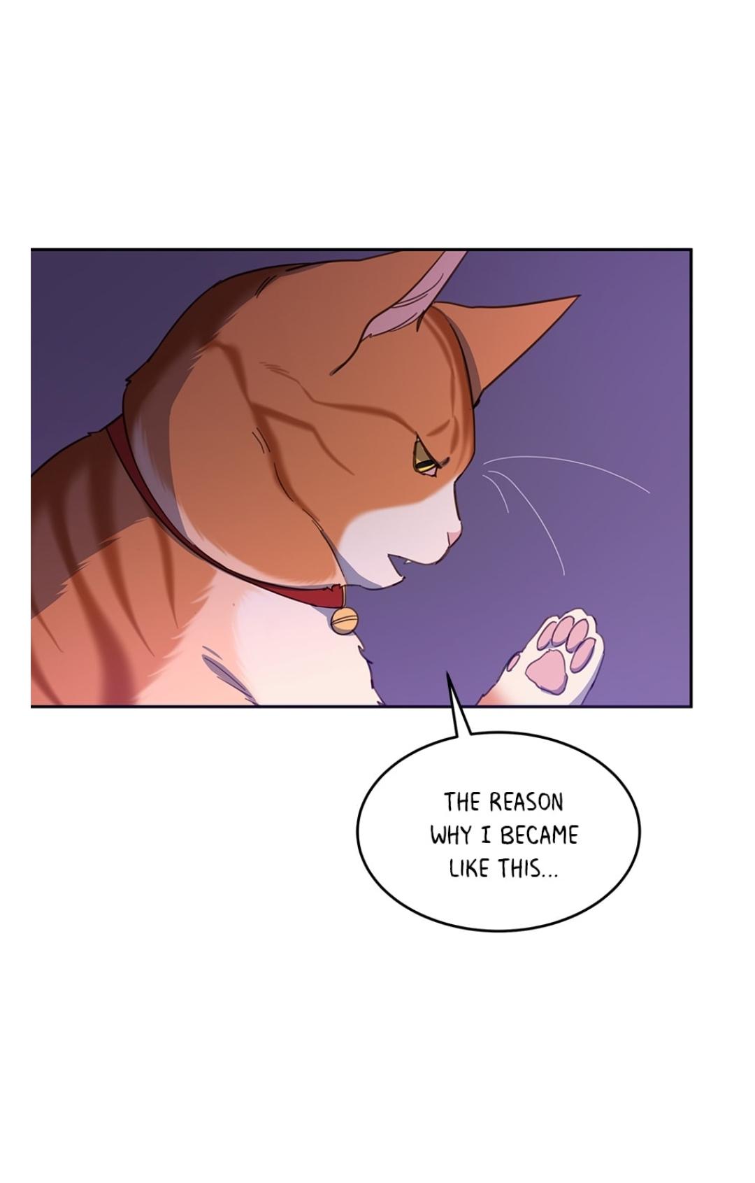 An animal hospital in the border area Chapter 11 page 2
