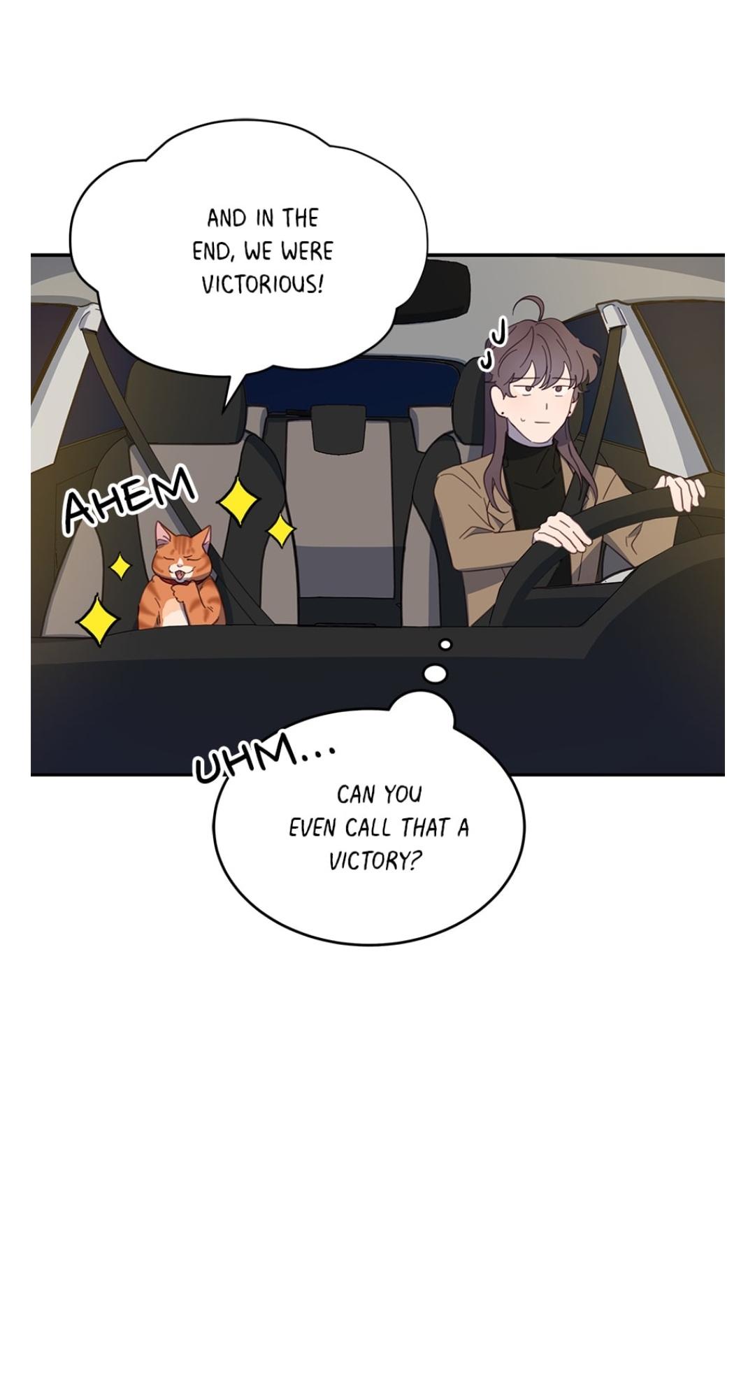 An animal hospital in the border area Chapter 11 page 43