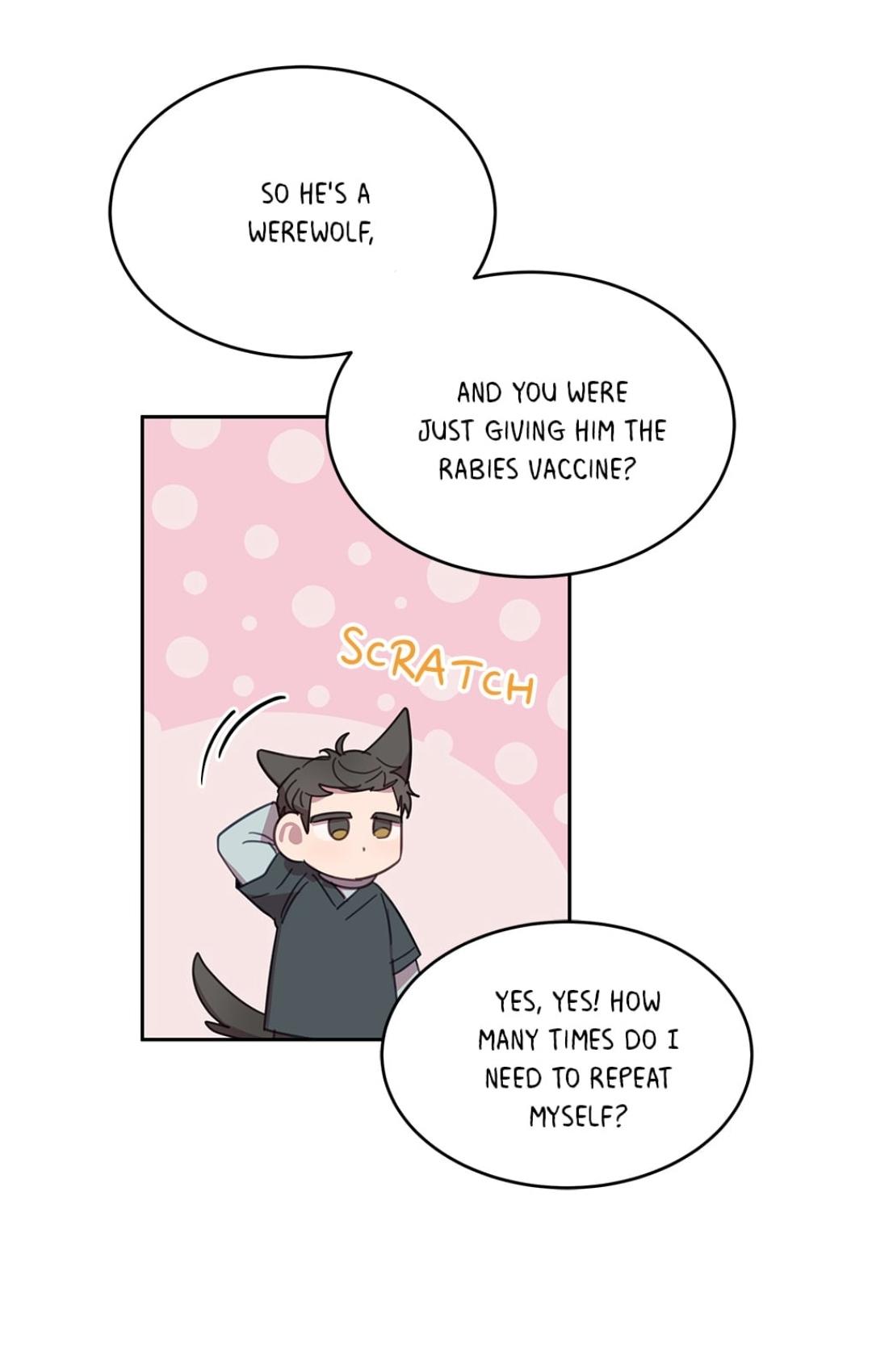 An animal hospital in the border area Chapter 12 page 41