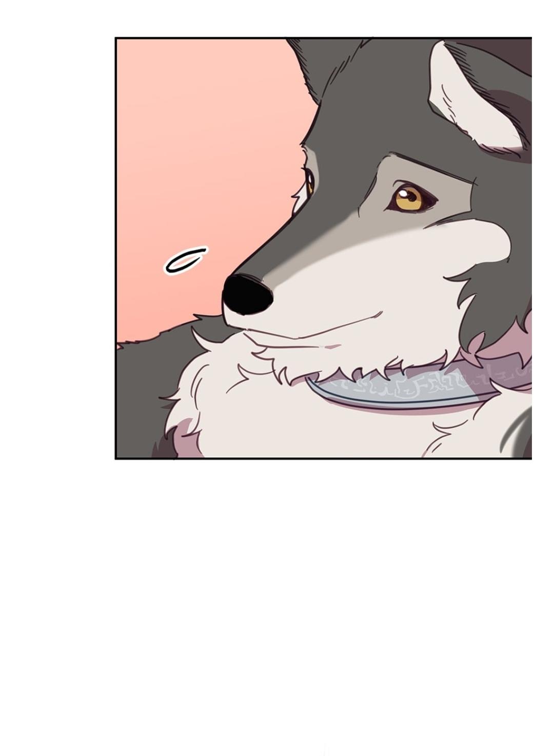 An animal hospital in the border area Chapter 14 page 51