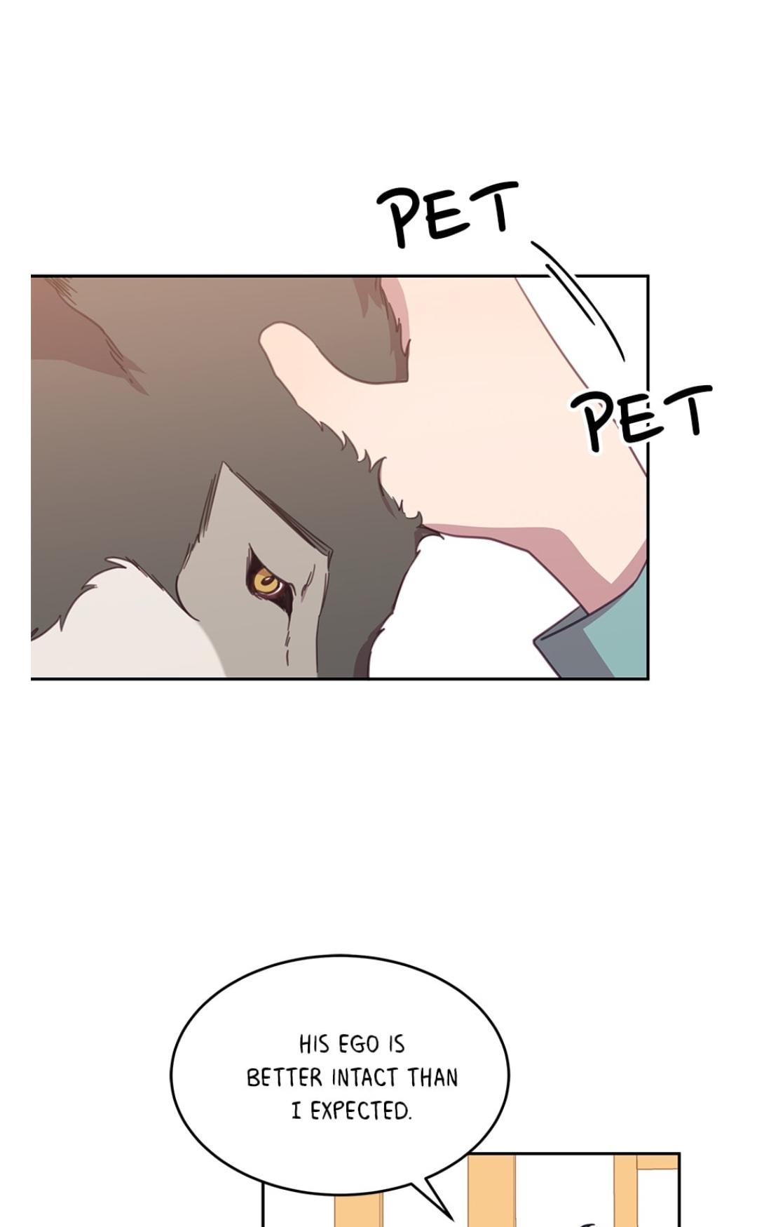 An animal hospital in the border area Chapter 14 page 46
