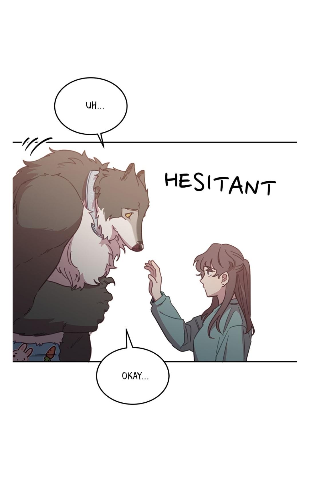 An animal hospital in the border area Chapter 14 page 45