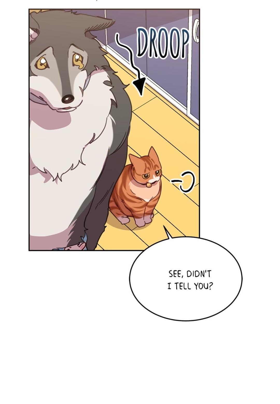 An animal hospital in the border area Chapter 14 page 41