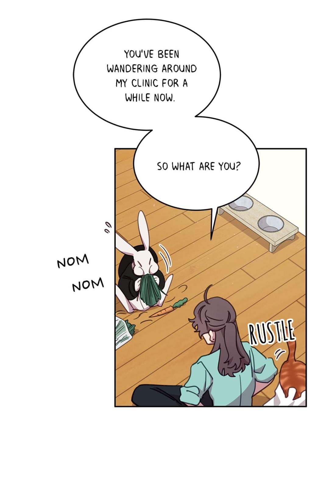 An animal hospital in the border area Chapter 16 page 8