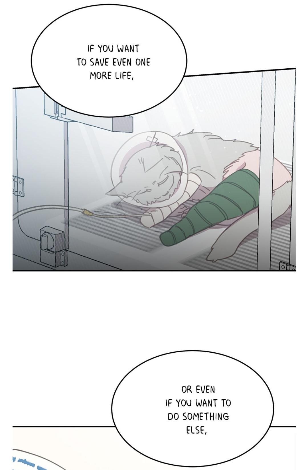 An animal hospital in the border area Chapter 15 page 25