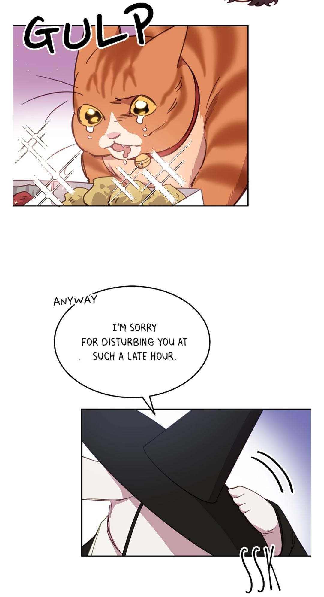 An animal hospital in the border area Chapter 16 page 39