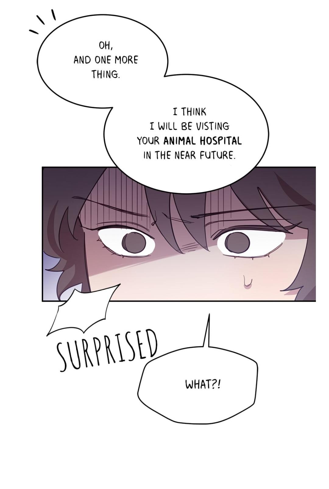 An animal hospital in the border area Chapter 16 page 43