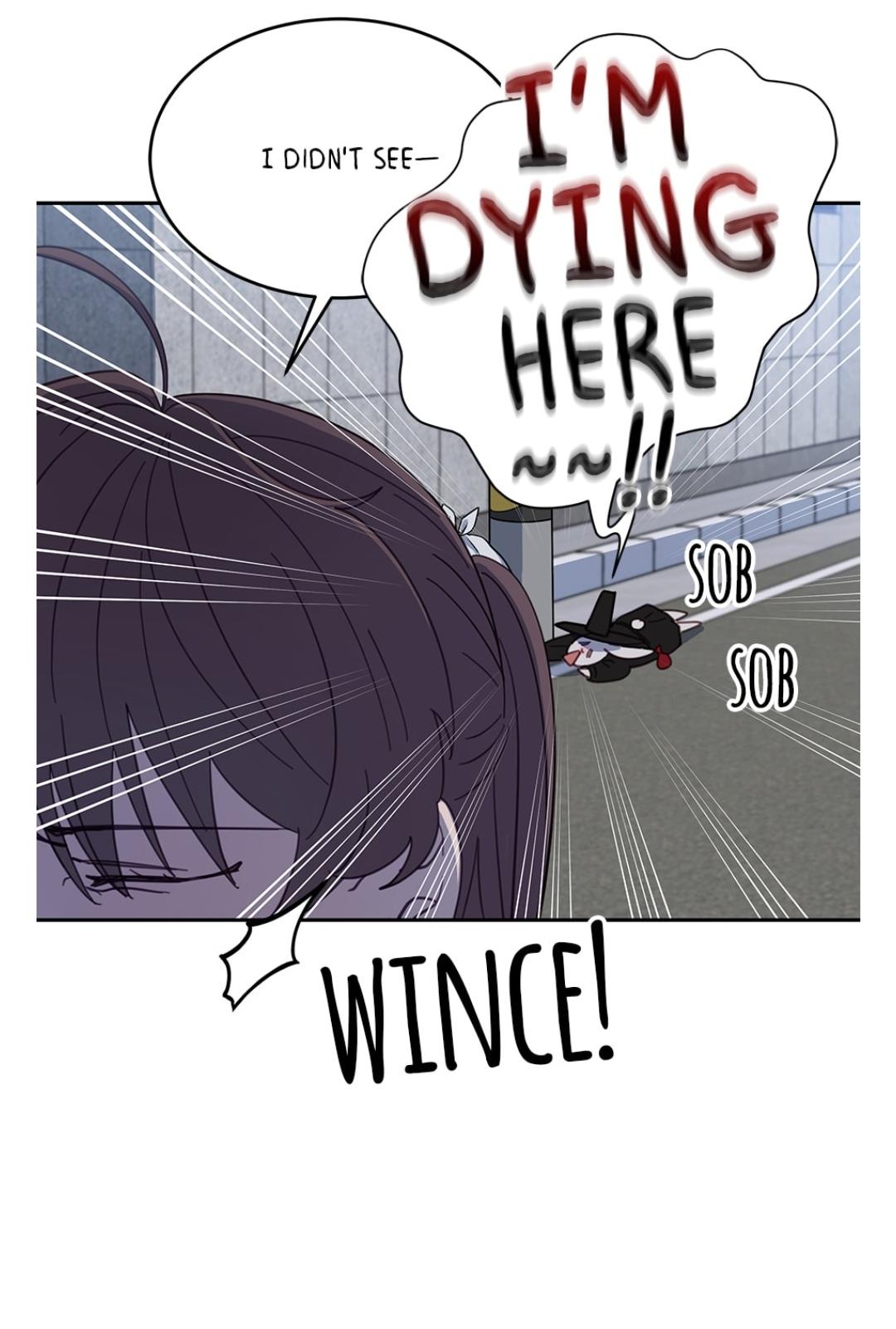 An animal hospital in the border area Chapter 15 page 60