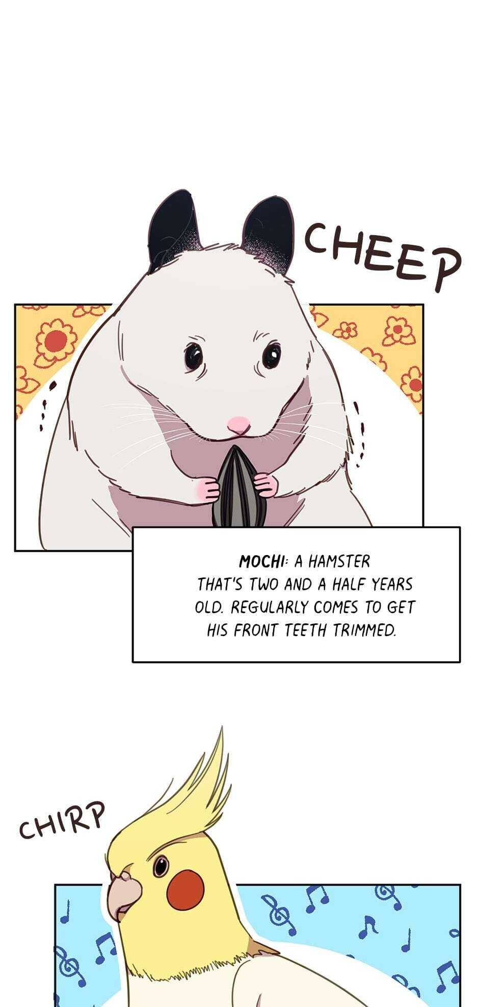 An animal hospital in the border area Chapter 17 page 19