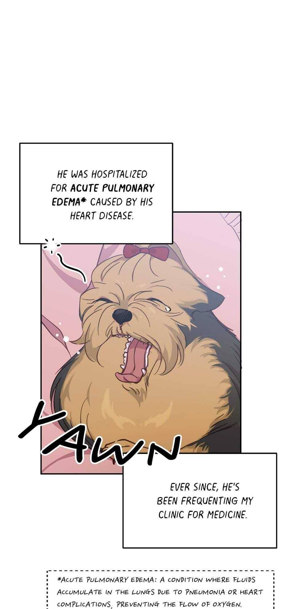 An animal hospital in the border area Chapter 17 page 12