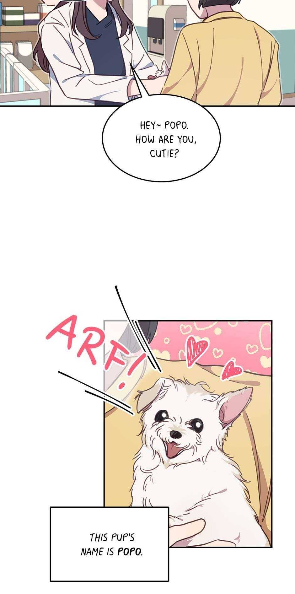 An animal hospital in the border area Chapter 17 page 7