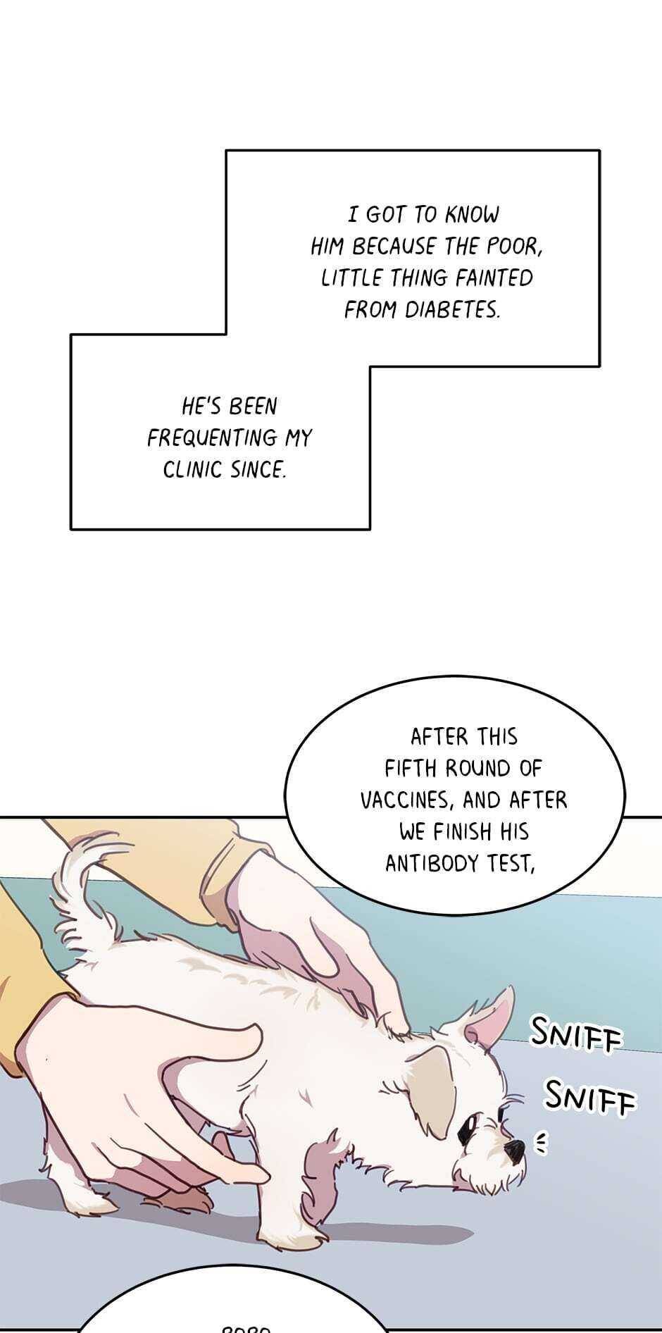 An animal hospital in the border area Chapter 17 page 8