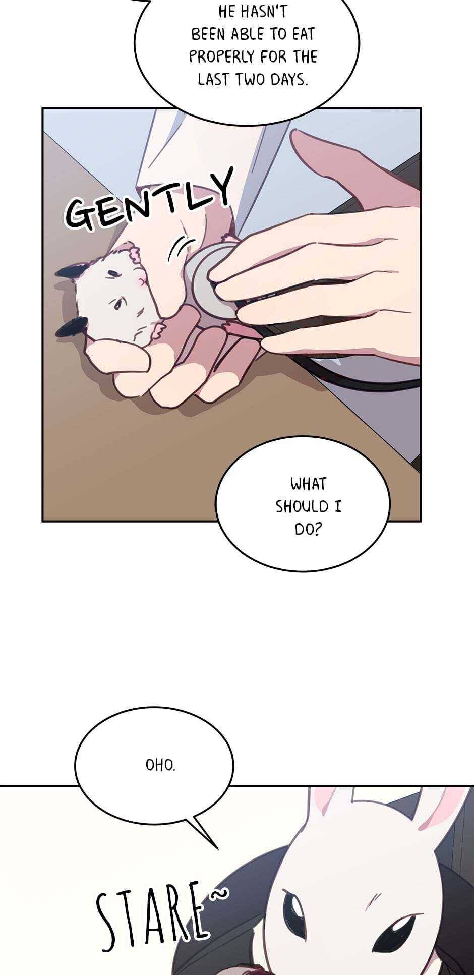 An animal hospital in the border area Chapter 17 page 35