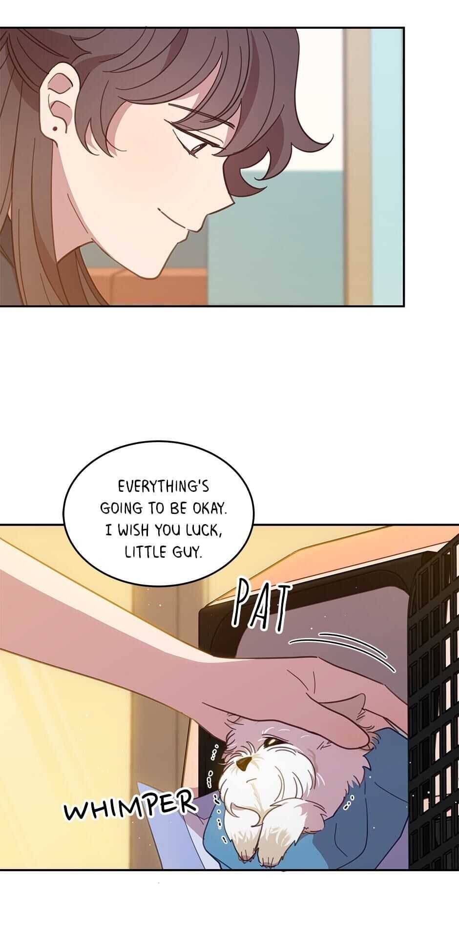 An animal hospital in the border area Chapter 19 page 13