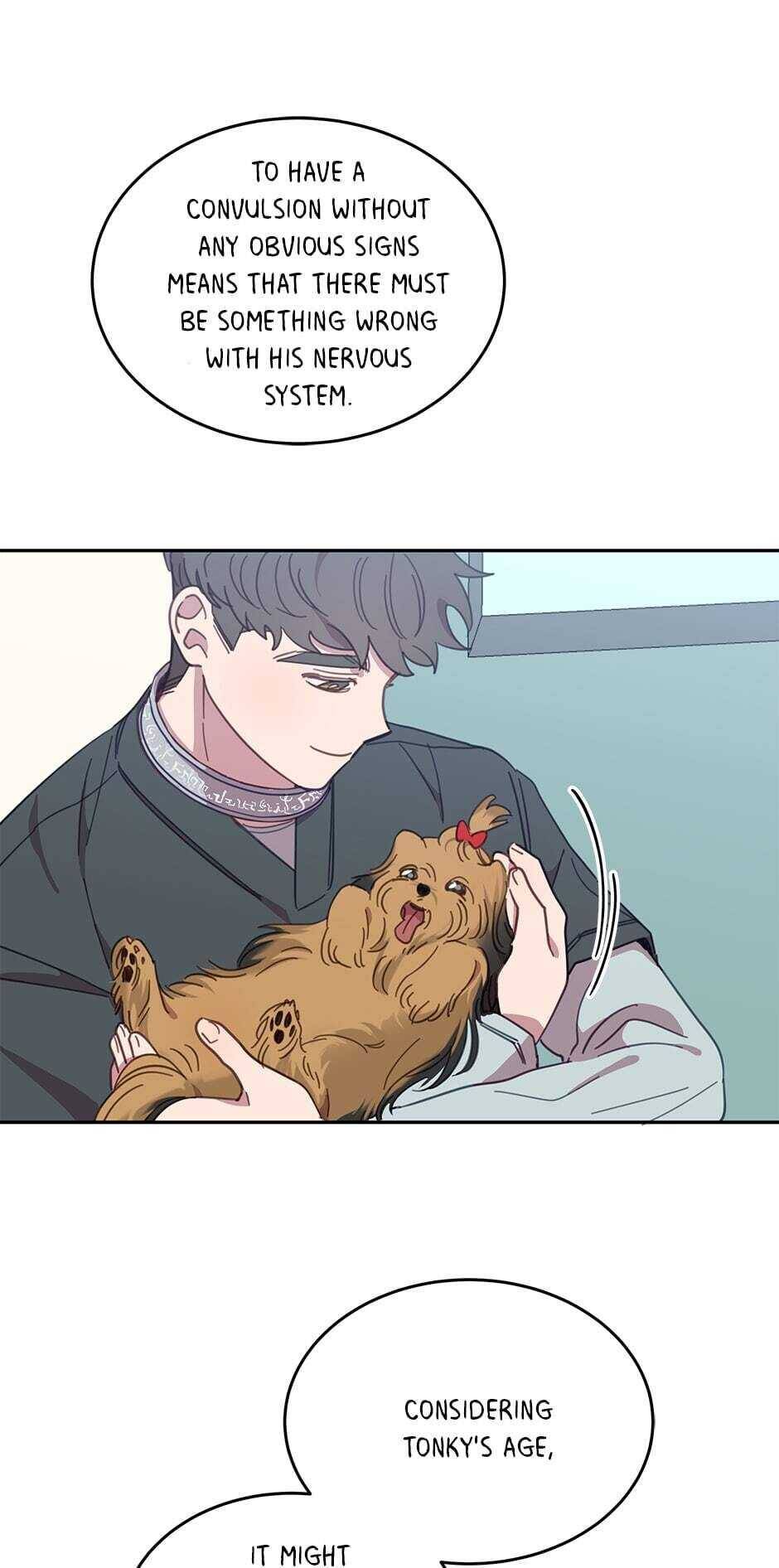 An animal hospital in the border area Chapter 19 page 41