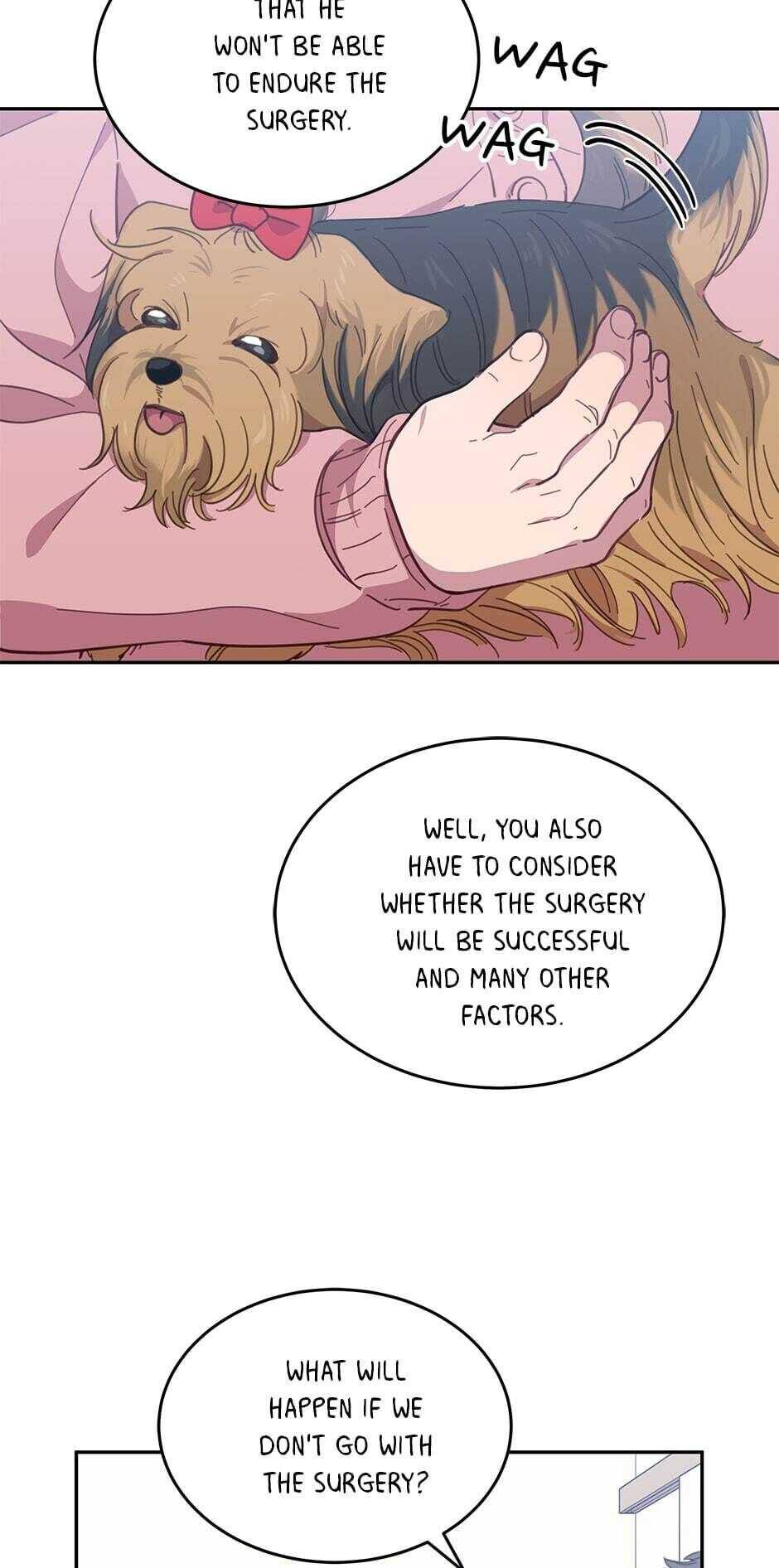 An animal hospital in the border area Chapter 19 page 44