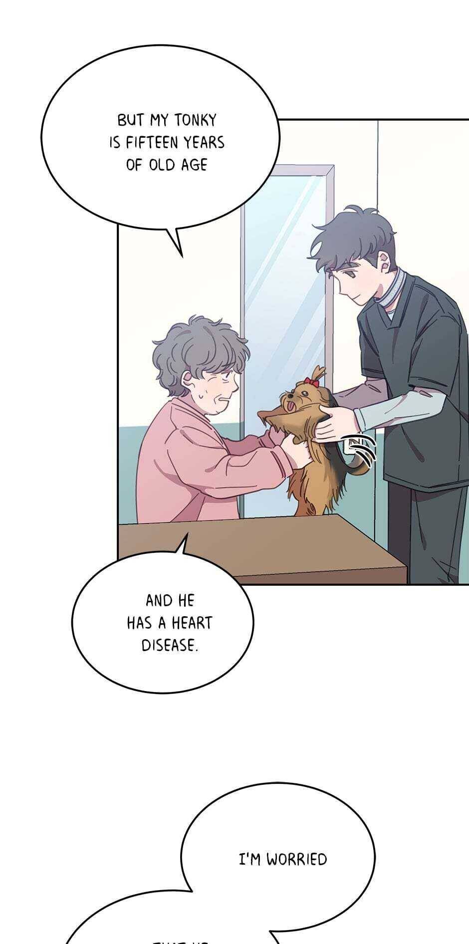 An animal hospital in the border area Chapter 19 page 43