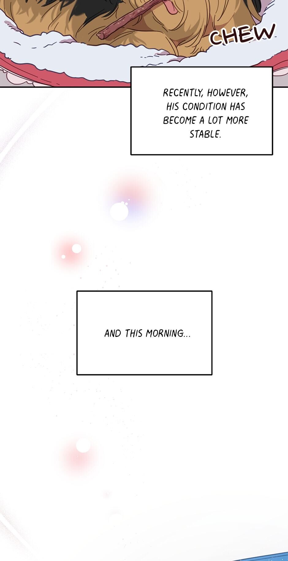 An animal hospital in the border area Chapter 20 page 21
