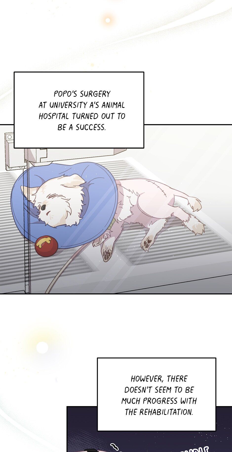 An animal hospital in the border area Chapter 20 page 19