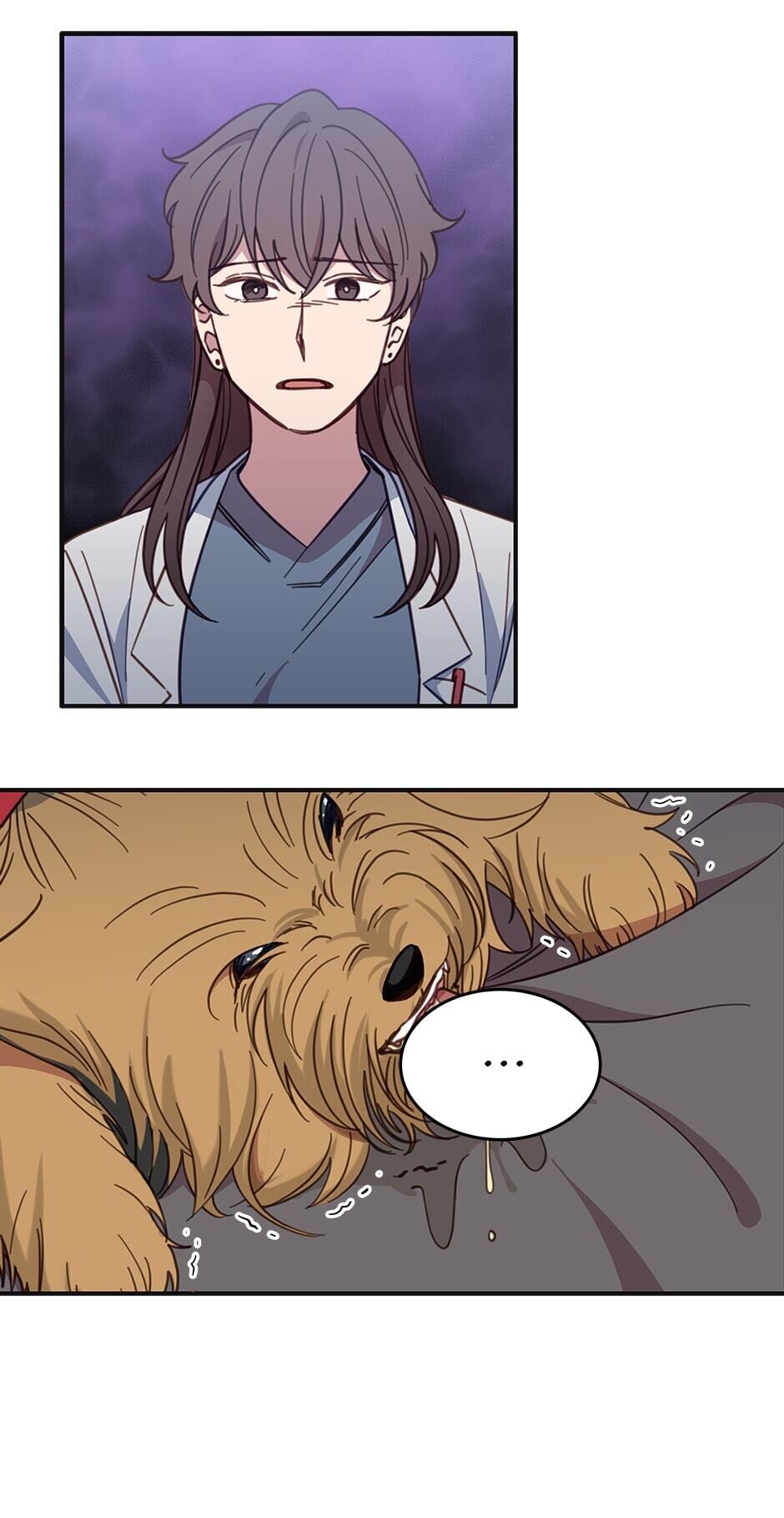 An animal hospital in the border area Chapter 21 page 15