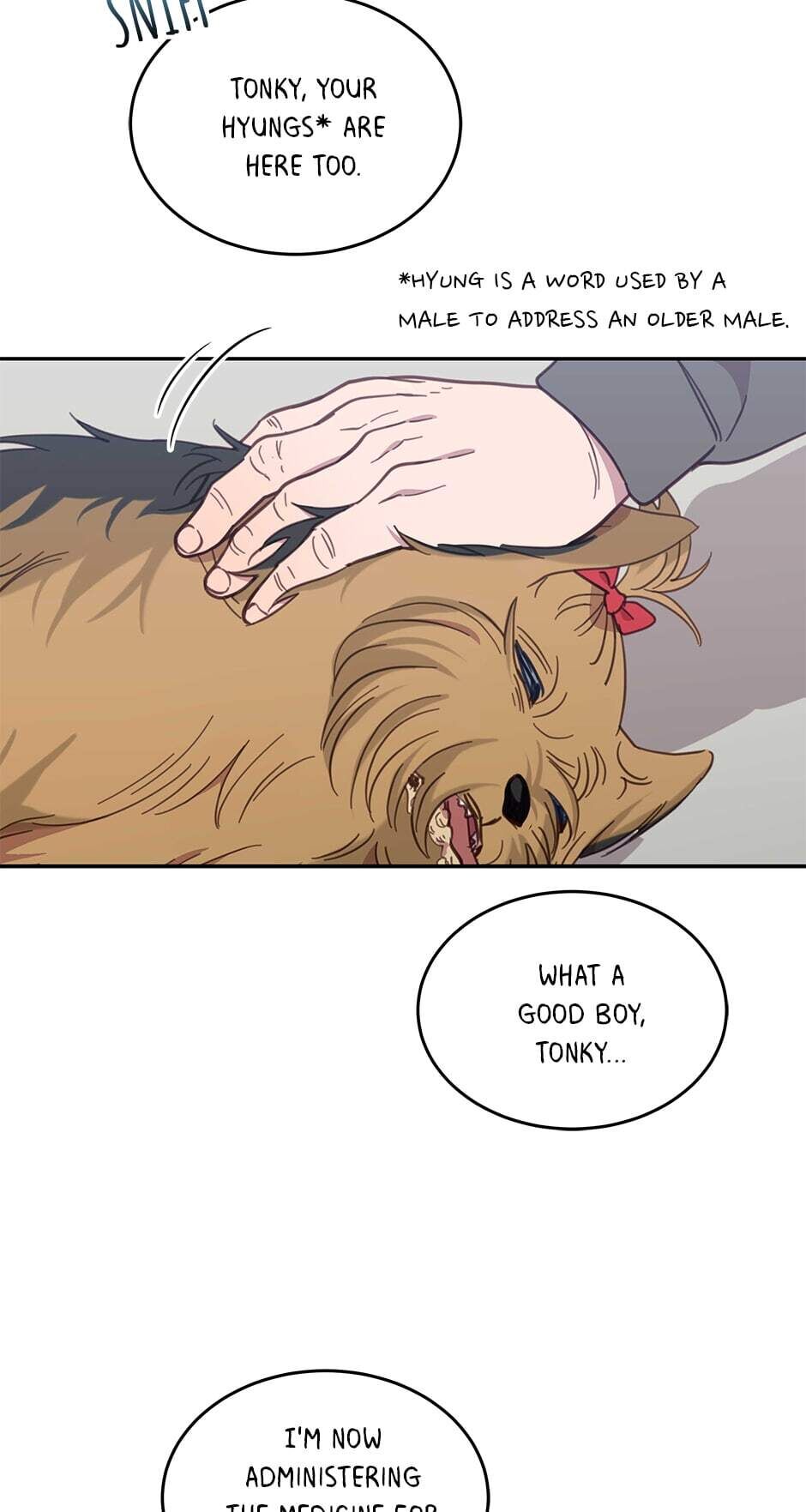An animal hospital in the border area Chapter 21 page 24