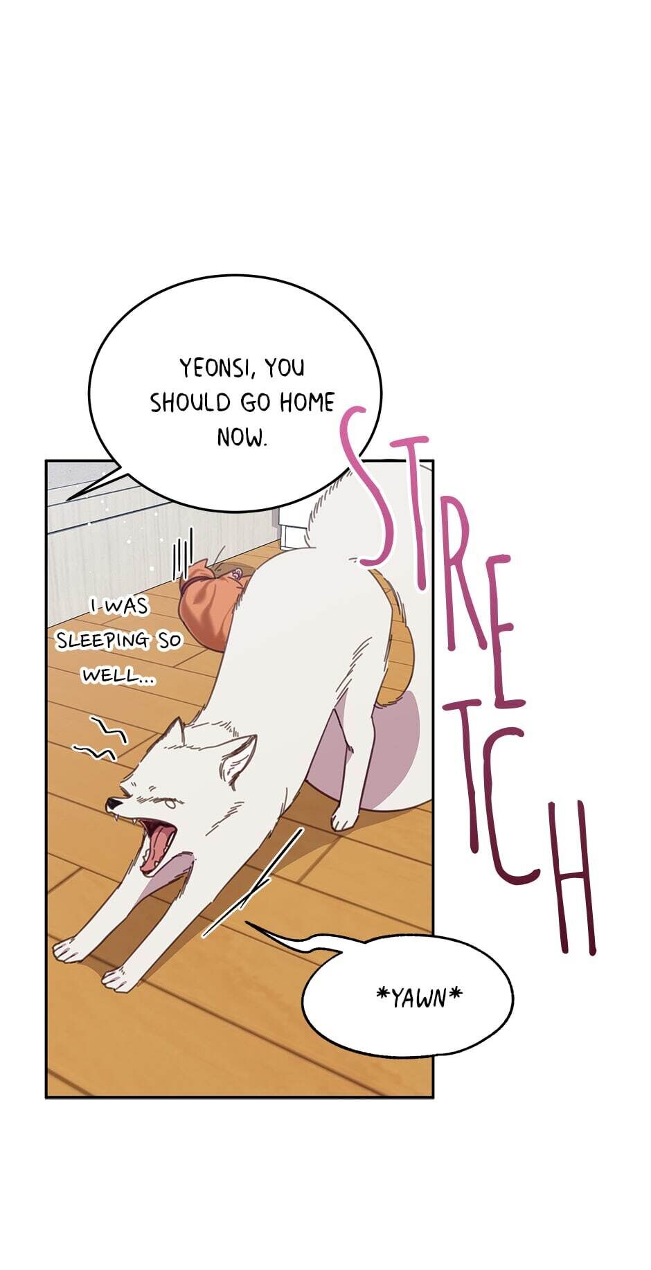 An animal hospital in the border area Chapter 23 page 29