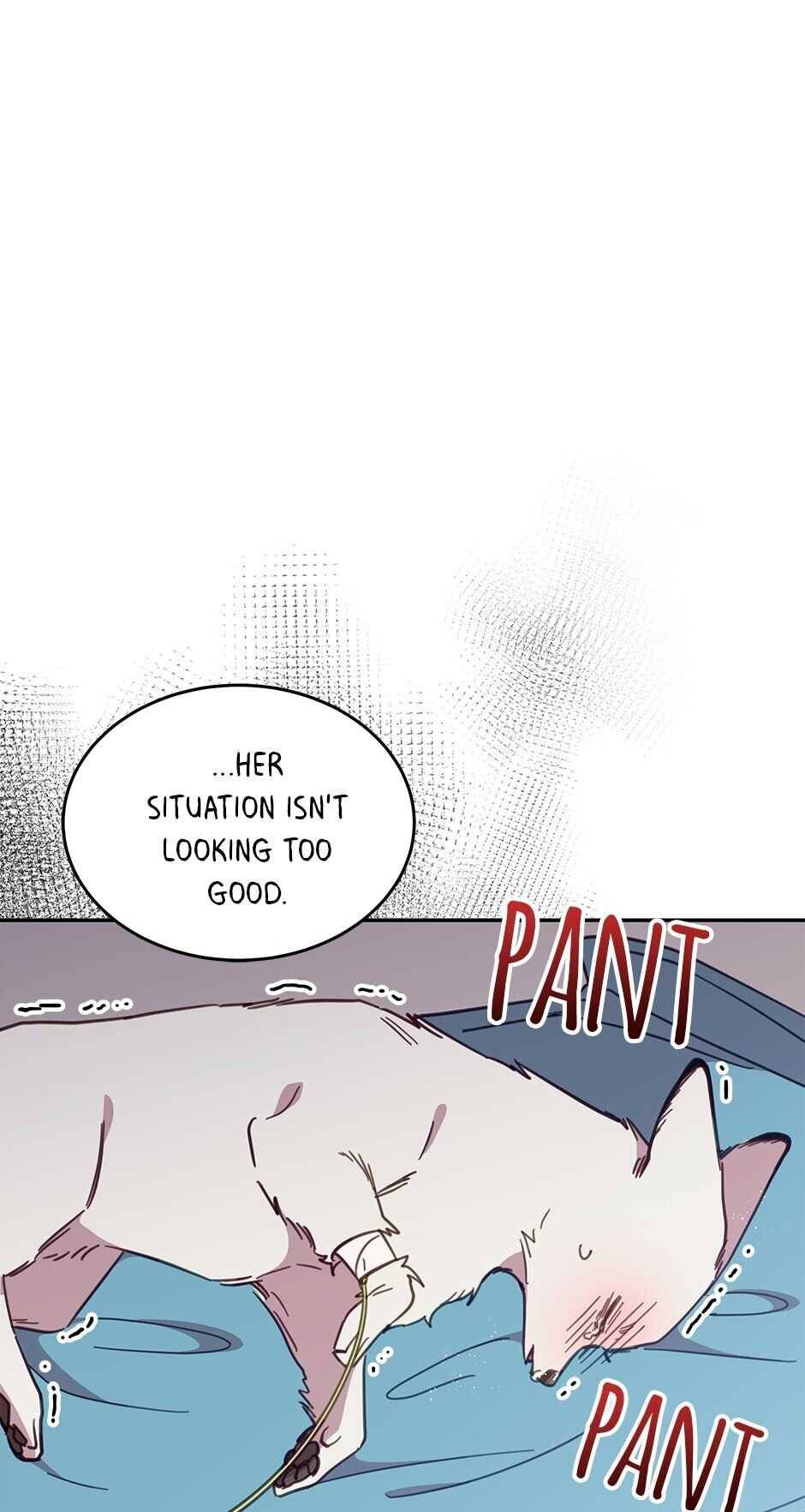 An animal hospital in the border area Chapter 27 page 22