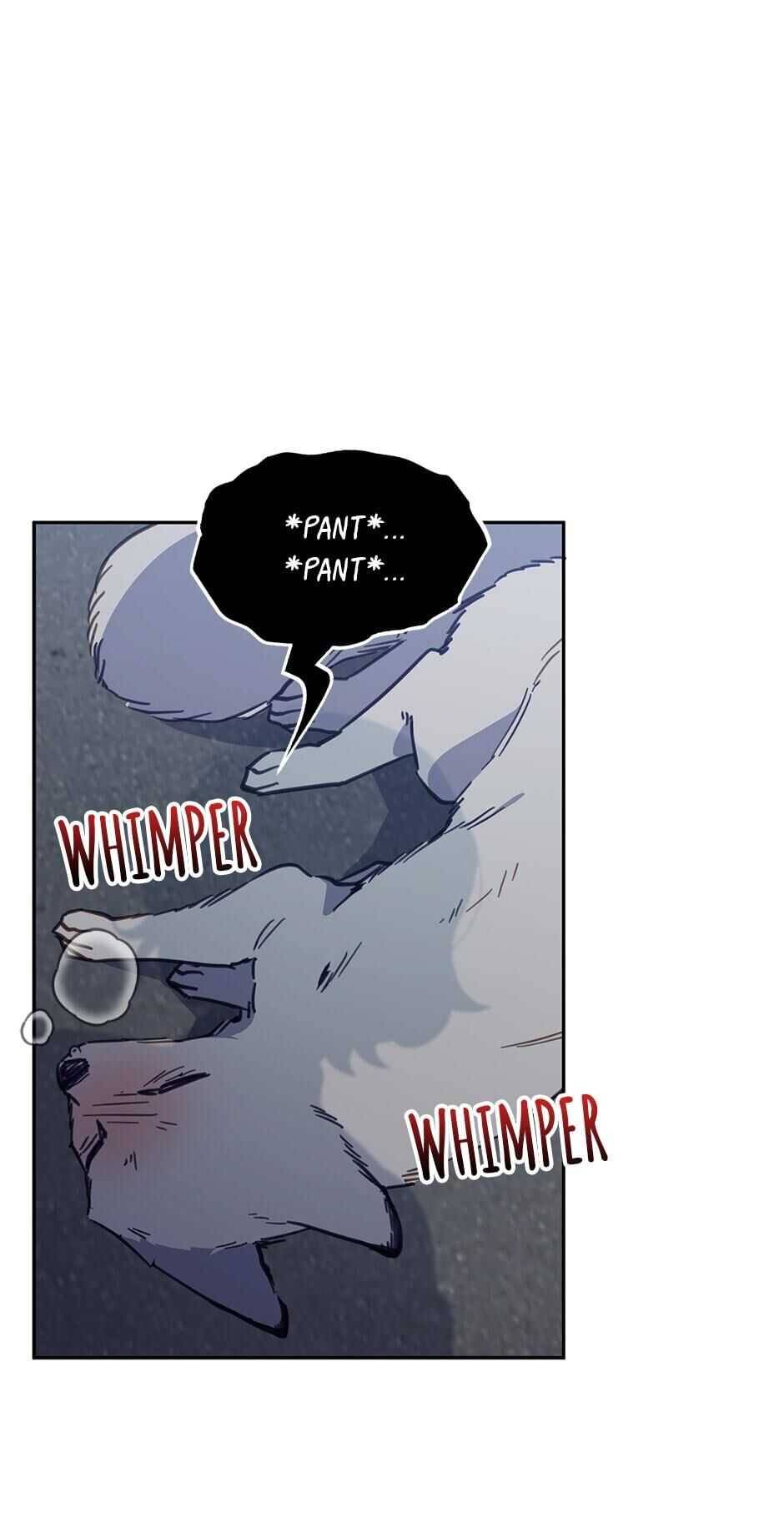 An animal hospital in the border area Chapter 27 page 10