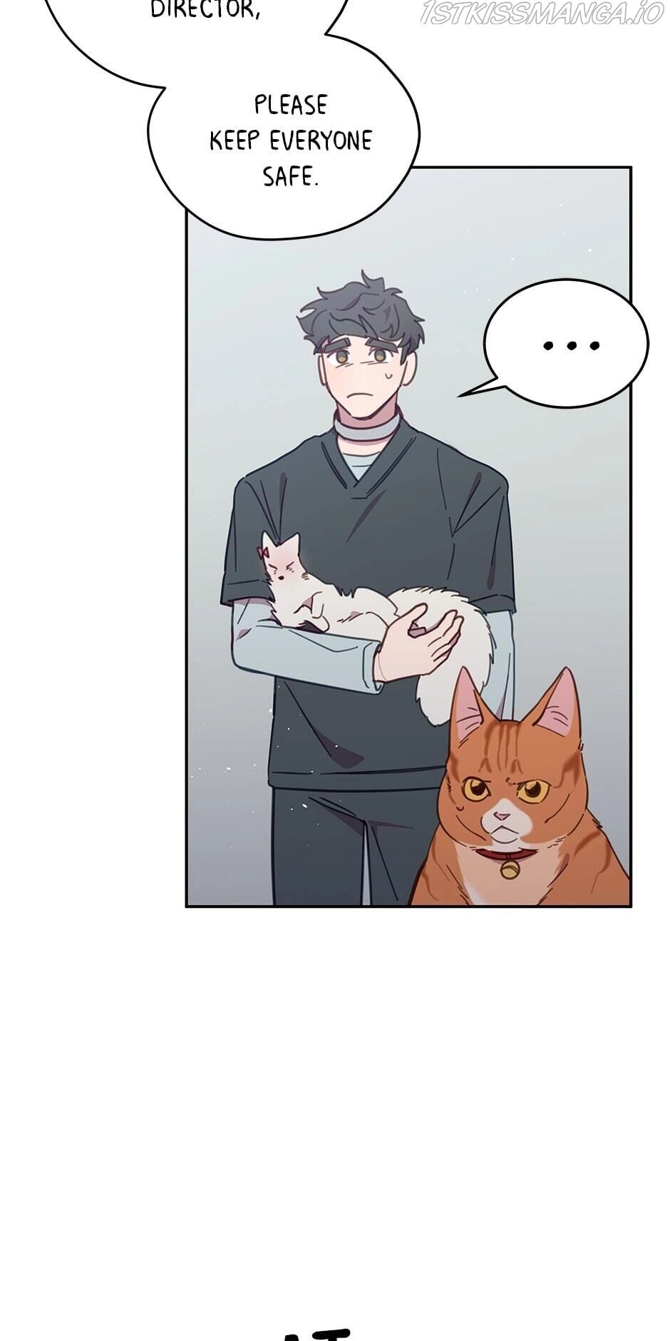 An animal hospital in the border area Chapter 29 page 44